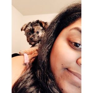 Meet your Posher, Ashley